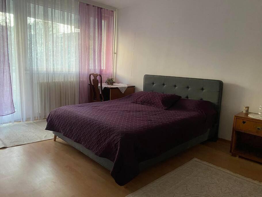 Pristina'S Hidden Gem Apartment Exterior photo